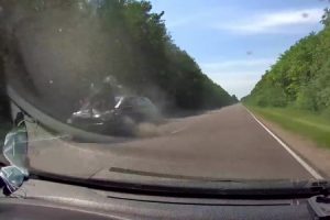 【微閲覧注意】車道に飛び出した巨大ヘラジカが猛スピードの車と衝突する衝撃映像