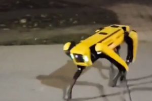 ボストン・ダイナミクスのロボット犬が単独で道端を歩いている姿が撮影される これはちょっと怖いｗｗｗ