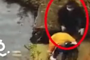 【衝撃動画】うつ病の女性が友達を道連れ　池に沈め溺れさせ自分も一緒に溺死