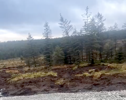【不思議】世にも奇妙な地滑りがアイルランドで撮影される。