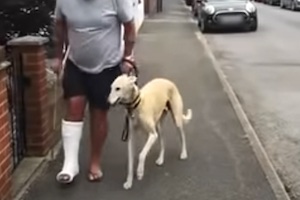 怪我をした飼い主を気遣って同じように不自由に歩くワンちゃんの動画が話題に。