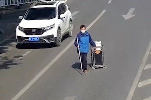 車道に迷い出てしまった盲人を救った運転手さんGJ動画。