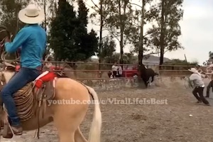 【動画】カウボーイさん猛スピードの馬に投げ縄をして指を失ってしまう。
