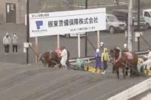 ばんえい競馬で障害を登れない馬の顔面をキックする騎手の動画が炎上中。