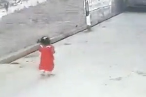 通りを歩く小さな女の子が野良犬の群れに襲われてしまう映像くっそ怖い。