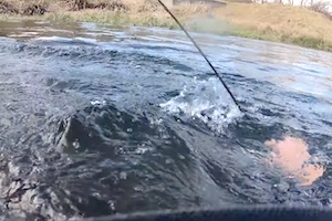 【北海道】ウェーダーで川に浸かった釣りで死にかけた釣り人の動画。