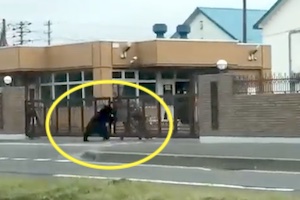 【動画】札幌市に出没したクマが自衛隊駐屯地の門を突破する映像。映っているのは負傷した自衛官か？