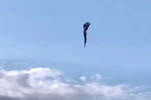【動画】アメリカで熱気球が墜落し5人が死亡。