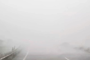 【栃木】ゲリラ豪雨で視界ゼロになる車載映像が話題に。
