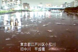 地震に驚いて一斉に飛び跳ねる魚。荒川水系で撮影された動画が話題に。