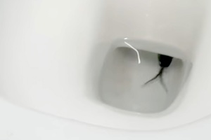 【動画】トイレの配管を逆に上ってきたこの生き物(((ﾟДﾟ)))