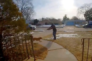【動画】隣人のピットブルに４発の銃弾を撃ち込んだ男。