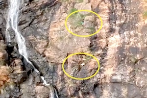 【衝撃】絶壁を降りるヤギを撮影するカメラに映った死にかけた少年の映像。
