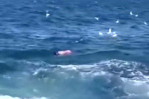 【衝撃】大きなサメが泳いでいた男性を噛み殺す動画が公開される(((ﾟДﾟ))) オーストラリア。
