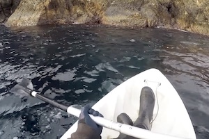 【和歌山】ミニボートが転覆して海上保安庁に救助要請したユーチューバーの動画。