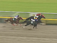 ジャパンカップ（ＧⅠ）だし競馬の凄い動画を教えろくだしあお願いします。