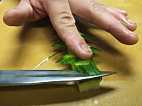 日本人シェフの包丁さばきを撮影したビデオが海外で人気。Hiro Terada