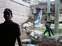 動物園で記念撮影をしようとしていたら後ろのヤツ（檻の中）が凄かった動画