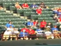 メジャーリーグで選手が投げ入れたボールを取ろうとした観客が落下して死亡