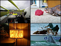 1000mg小ネタ集Part.26。ホモサピエンスにスパムを与えてもカワイクナイ