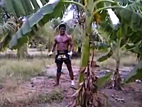 元K-1王者のブアカーオさんがバナナの木と闘う動画。なんかシュールだなｗ