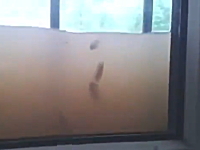 洪水で窓の外に魚が見える！ドイツの家の密閉っぷりがハンパない動画ｗ