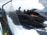 6日シーシェパードの妨害船が日本調査船に衝突する瞬間の映像