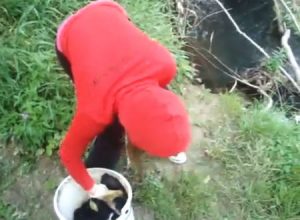 生きた子犬を川へ投げ捨てる少女の動画　これは炎上して逮捕されろよ