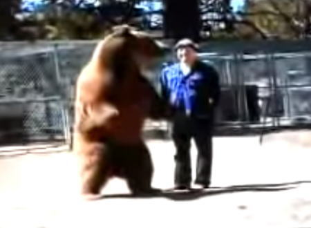 巨大なクマに襲われてしまう男性トレーナーの映像。恐ろしすぎた(@_@;)