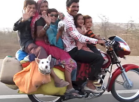 犬がシュールすぎるｗｗ一台のバイクに一家6人＋2匹！w(ﾟoﾟ)w乗りすぎｗｗ