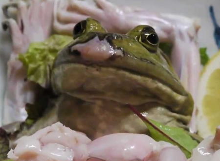 カエルの活け造り。体を分解されてお皿の上でもがくカエルを食べている映像