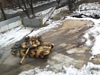 軍事動画。カーリングみたいにコンクリートの上を滑ってくる戦車。Т-64Е