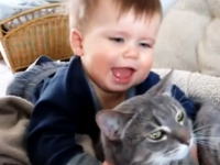 ペットで飼っているニャンコと人間の赤ちゃんの関係。今日のほのぼのビデオ。