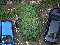 中国で凄い状態で発見された放置自動車が撮影される。どんだけ放置してたんｗ