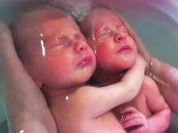 生まれたばかり？の双子ちゃんをお風呂に入れてみた動画が大人気に。