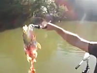 ピラニアの多い川で魚釣りをするとこうなる動画。釣ったそばから骨だけにｗｗ