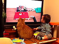 NHKのピタゴラスイッチを真剣に眺めるニャンコと赤ちゃんがカワイイと人気に。