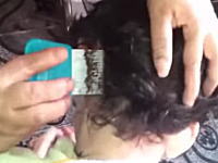 頭しらみに寄生されたお子様の髪の毛を頭シラミ卵駆除櫛で梳かすと(((ﾟДﾟ)))