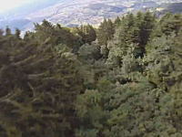ウイングスーツで低空飛行。斜面の木の上スレスレを飛ぶムササビ男のビデオ。