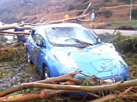 高速道路を走行中に倒れてきた木の下敷きになってしまった日産リーフの車載ビデオ。