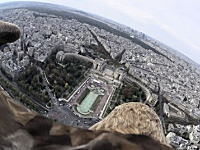 イーグルカム。パリの街を飛ぶワシに小型カメラを取り付けたら凄い映像が撮れた。