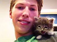 「サイレントニャー」たぶんみんなが笑顔になれそうな子猫の6秒動画。