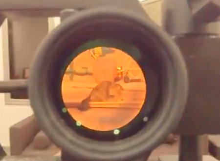 餌を撒いておびき寄せたニャンコを強力なエアガンで狙撃するハンターのビデオ。