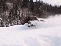 これが野生の馬力か。深い雪の中を猛スピードで走り去るムースがすげえ動画。
