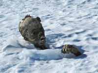 標高5636メートルの山で55年前に遭難した登山者のミイラ化した遺体が発見される。
