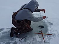 うそん！氷穴釣りでまさかの獲物が釣れた動画。こいつ溺れ死ぬ所だったんじゃないの