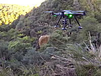 タラルア山脈の景色を空撮中に何者かに狙われ撃墜されてしまったドローンの映像。