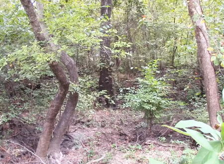 迷彩服の有効性。森の中から迷彩スーツでカモフラージュされた兵隊さんを見つけるビデオ。