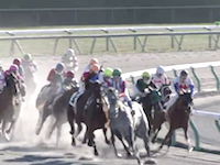 24日の中京競馬で騎手が柵の外までぶっ飛ばされる大きな落馬事故が発生していた動画。