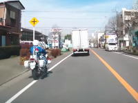 神奈川ですり抜けしようとした白バイがトラックと事故るという珍しい動画が投稿される。